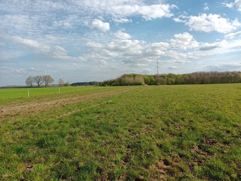 Działka siedliskowa Wodnica blisko Ustki