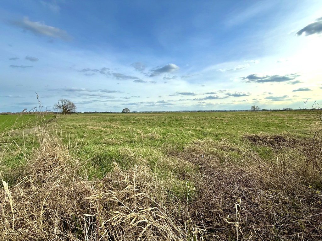 Działka budowlana w Sobczycach