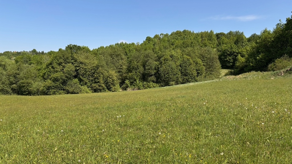 Tarnawa -działka budowlana pod lasem