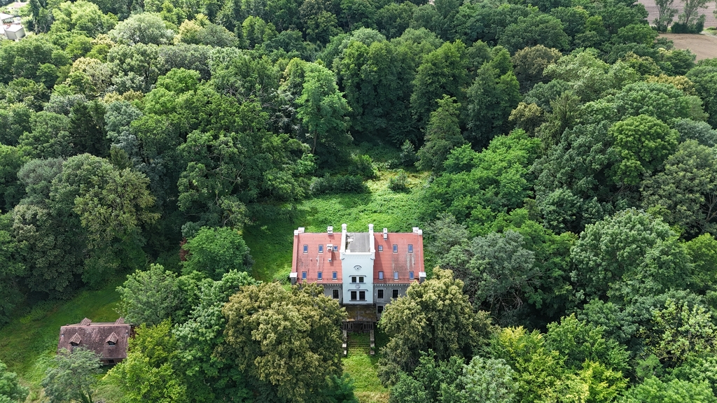 Pałac w Liścu, duża działka, park, stawy