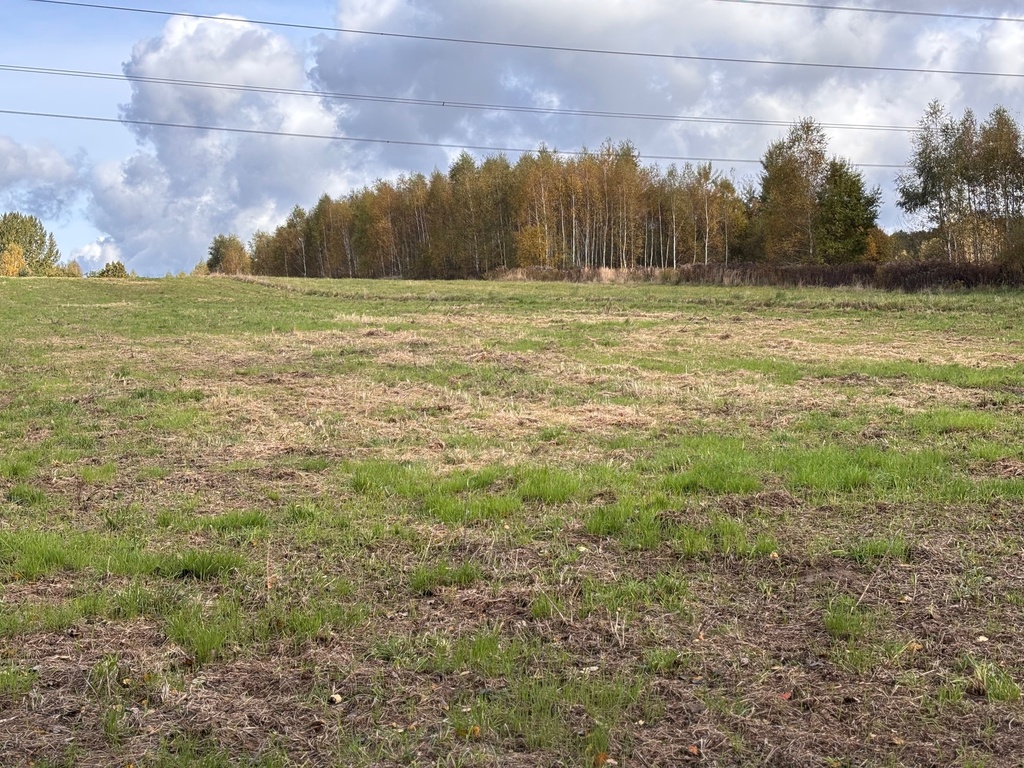 Działka, 8 100 m², Kobyle