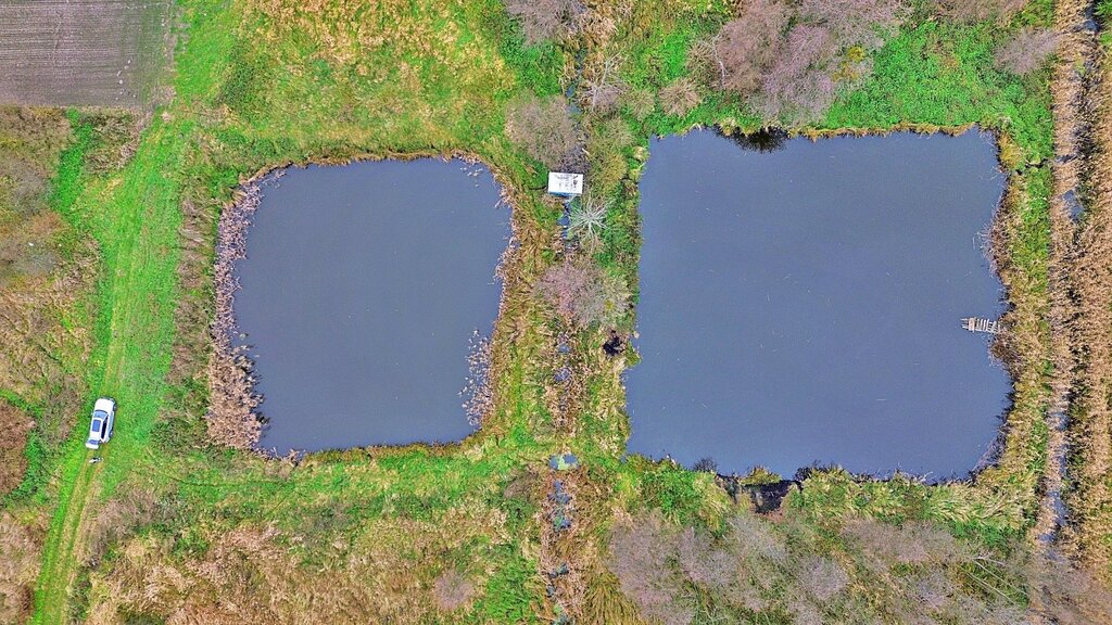 Stawy Rekreacyjne! - Miejsce dla Hobbysty Wędkarst