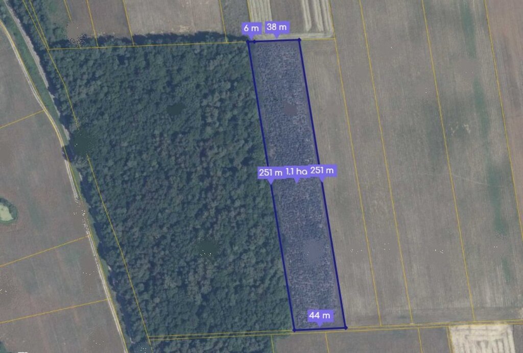 Działka z plantacją choinek - Inwestycja