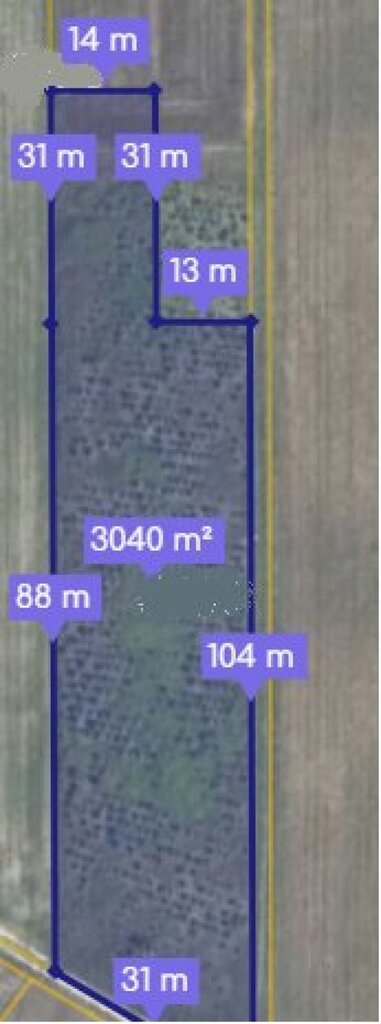 Działka z plantacją choinek - 30a