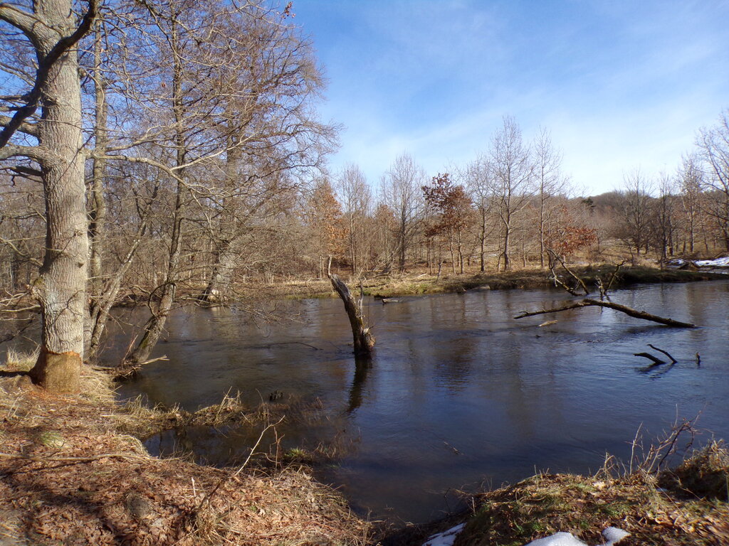 Działka przy rzece, Charnowo