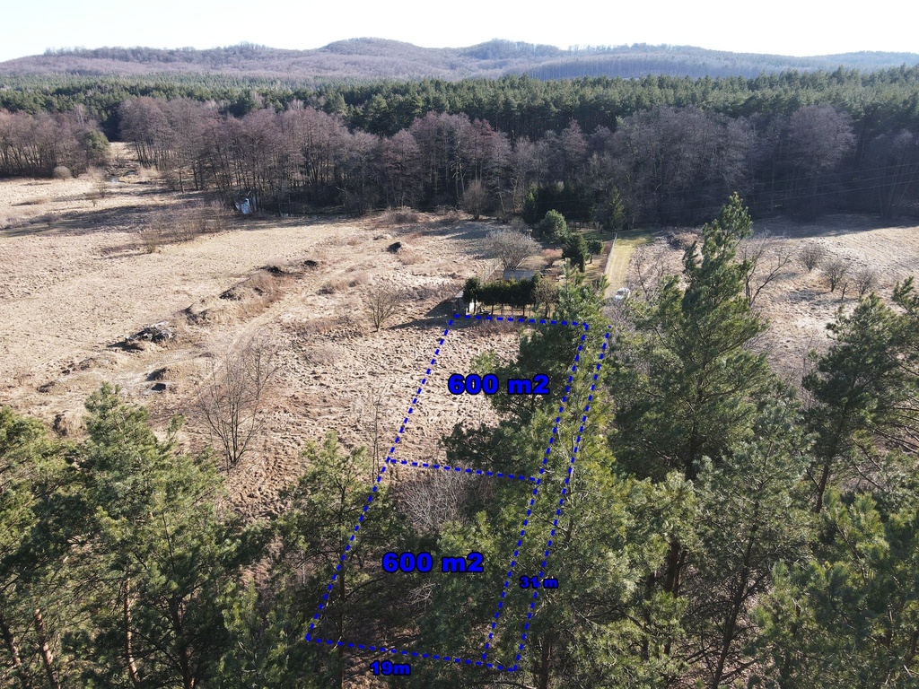 Działka rekreacyjna przy lesie, Golczowice