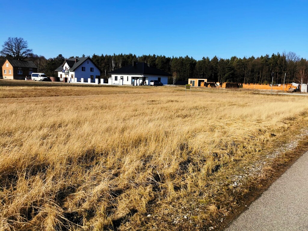 Działka 3883 m² wśród zieleni z WZ– Wólka Pytowska