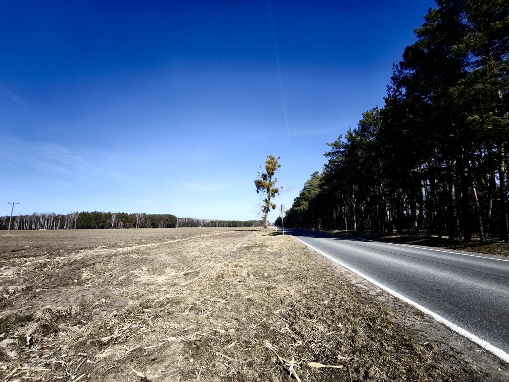 Działki budowlane Elżbiecin gmina Kodeń