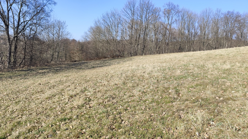 Działki Budowlane w spokojnej okolicy Osina Mała