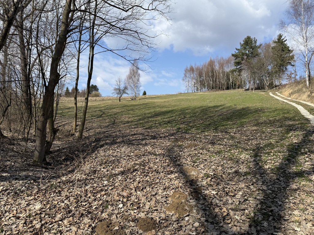 48ar, Dolina Kluczwody, Wierzchowie