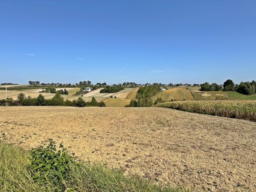 Działka rolna w Podlesicach