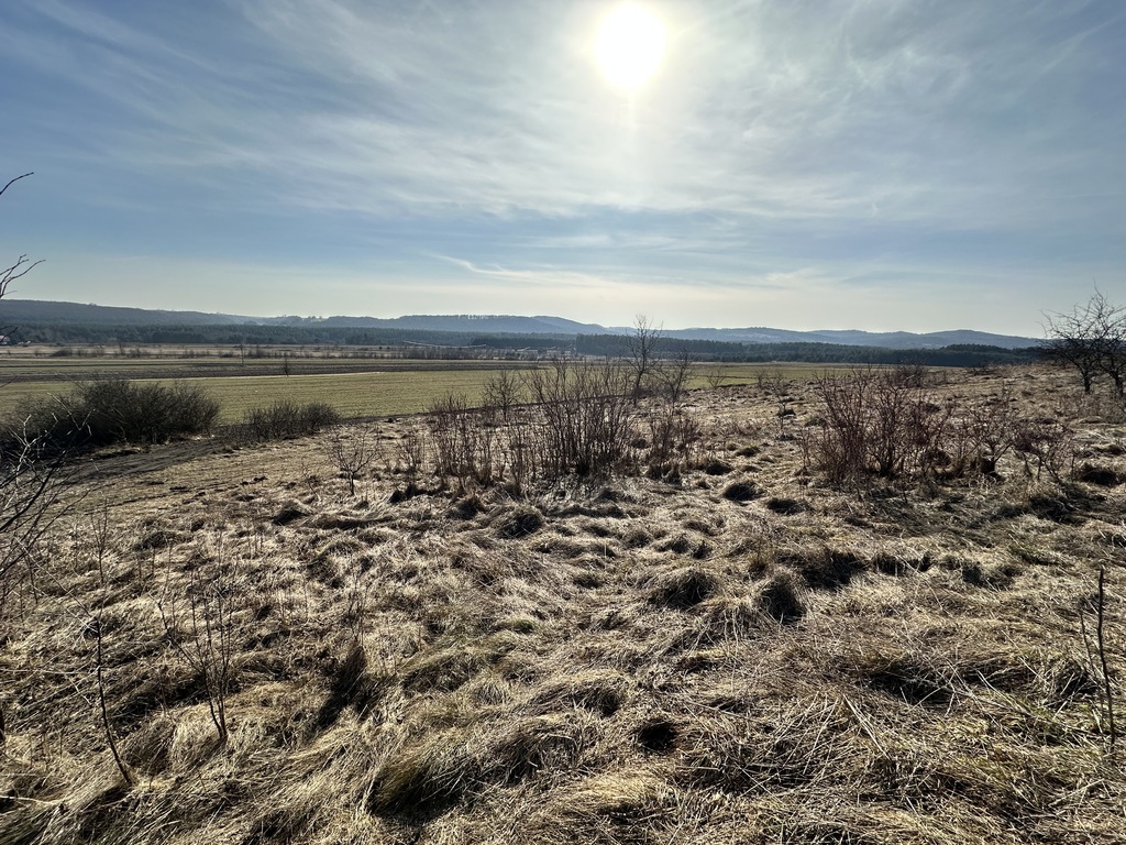 Działka rekreacyjna w pobliżu trasy Wolbrom-Olkusz