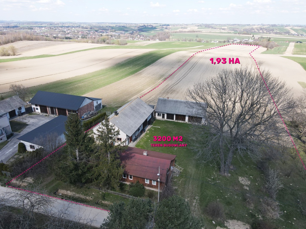 Gospodarstwo, stadnina koni, działalność, k. trasy