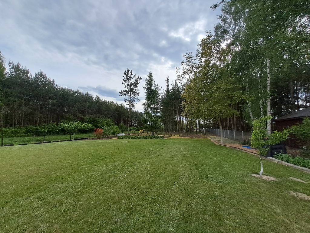 Zadbana działka ze stawem i prywatnym lasem.