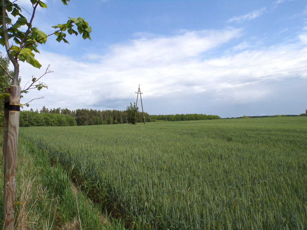Działka budowlana Machowino gm.Ustka
