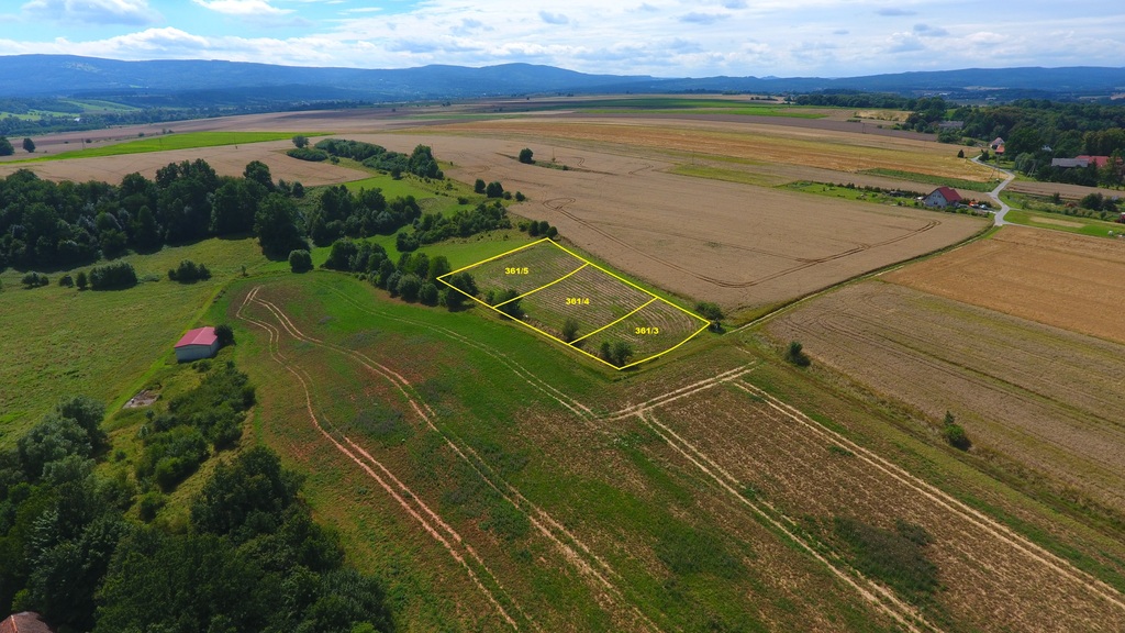 Szalejów Dolny - działka budowlana na sprzedaż