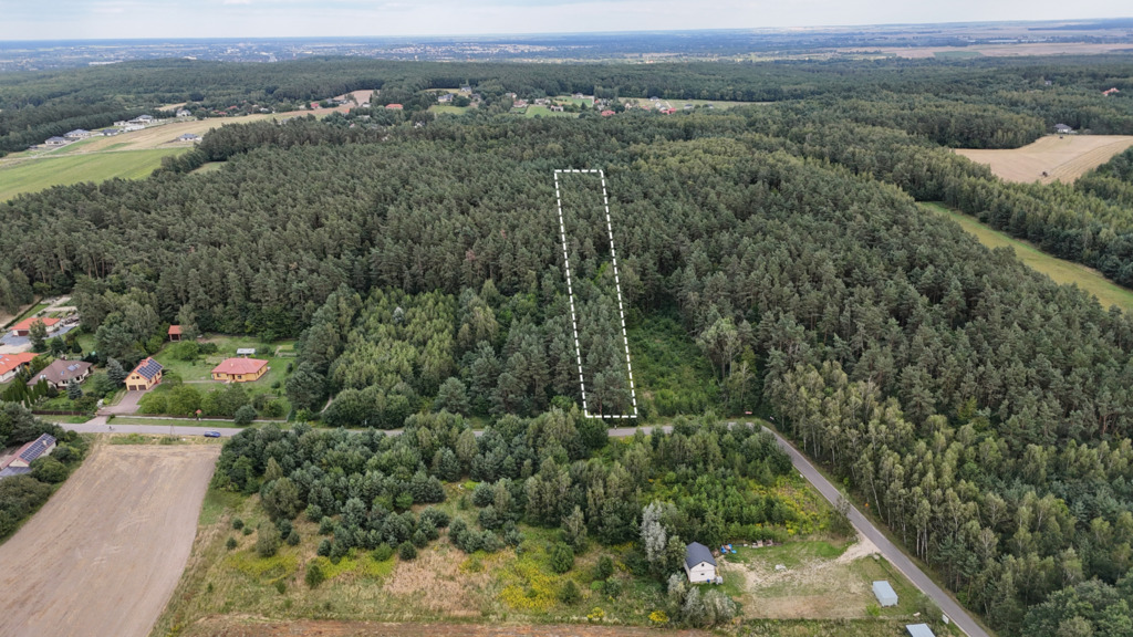 Działka w Janowie 4700m2 leśna