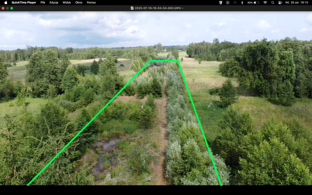 Działka rolna Wujówka gm Jadów - 1 hektar