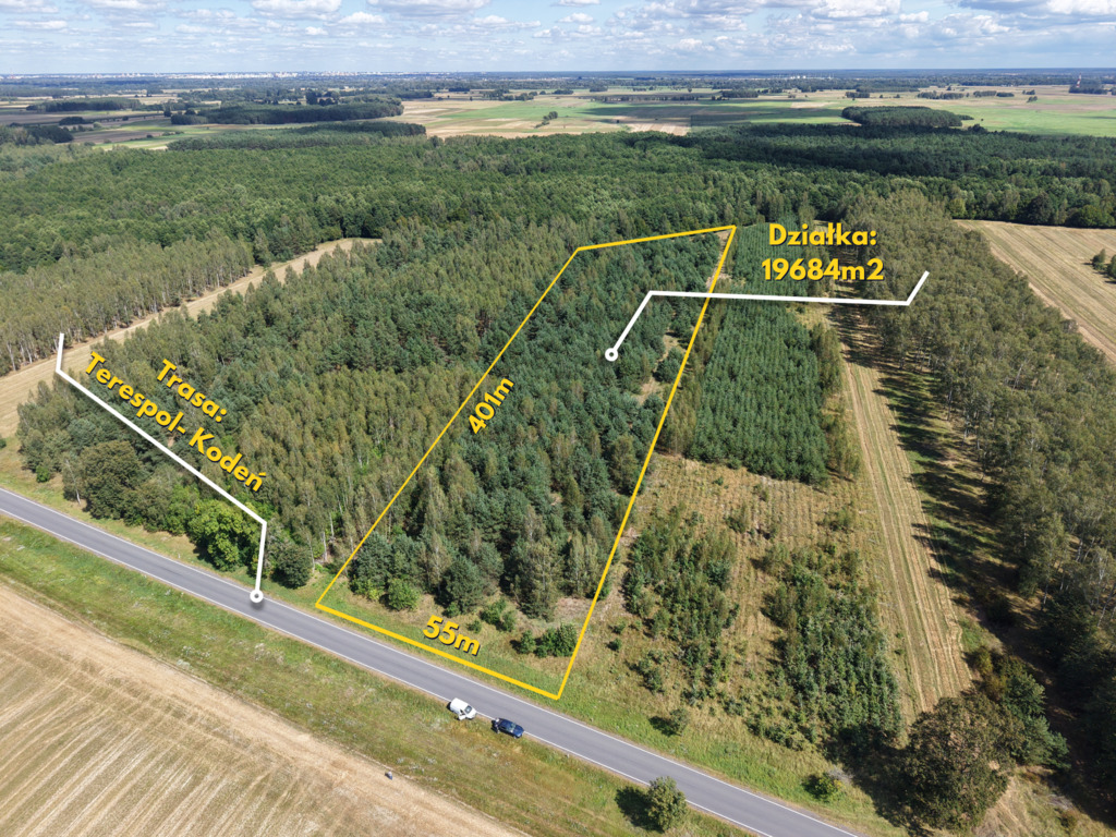 Działka leśna w Dobratyczach gmina Kodeń