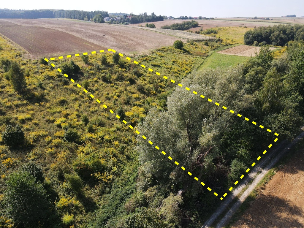 Działka koło Skały, trasa Kraków