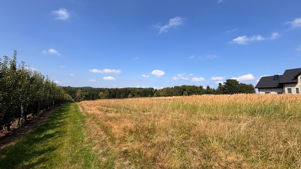 Wola Wieruszycka widokowa działka 10,37arów