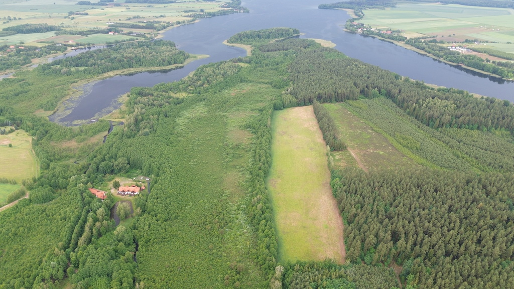Działka w otulinie lasu niedaleko jeziora Makosiej