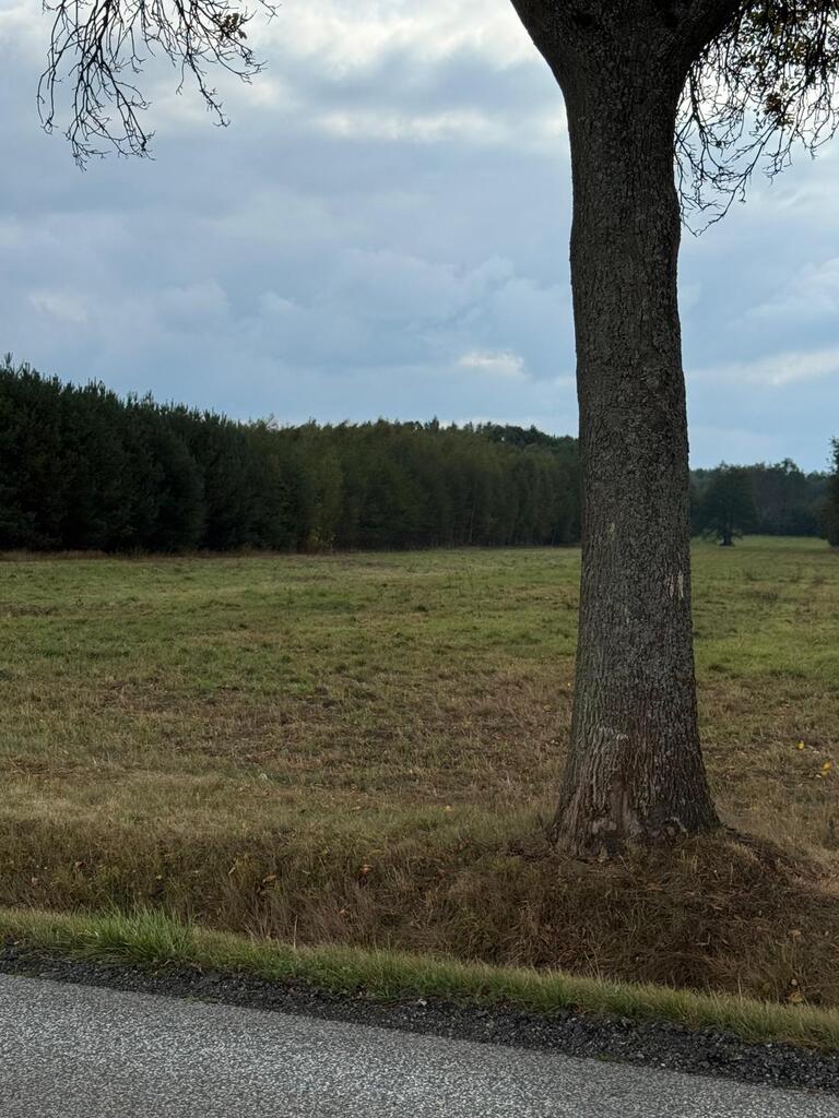 Działka Bronów przy DK746.