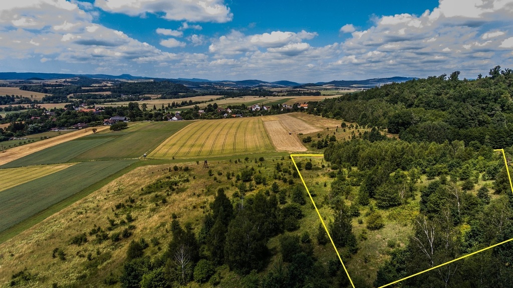 DZIAŁKA W GÓRACH 1,780 Ha BIERKOWICE, KŁODZKO