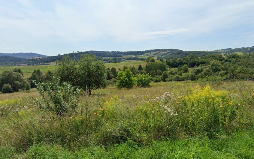 Piękna działka widokowa w górach, Drogosław