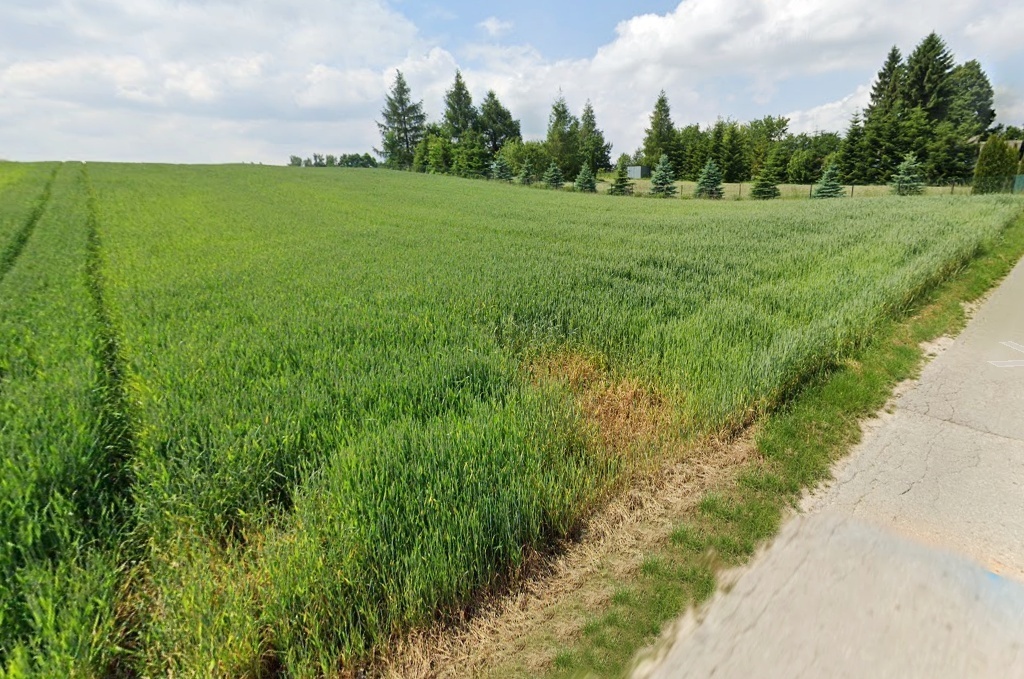 Działka inwestycyjna, Poręba Dzierżna