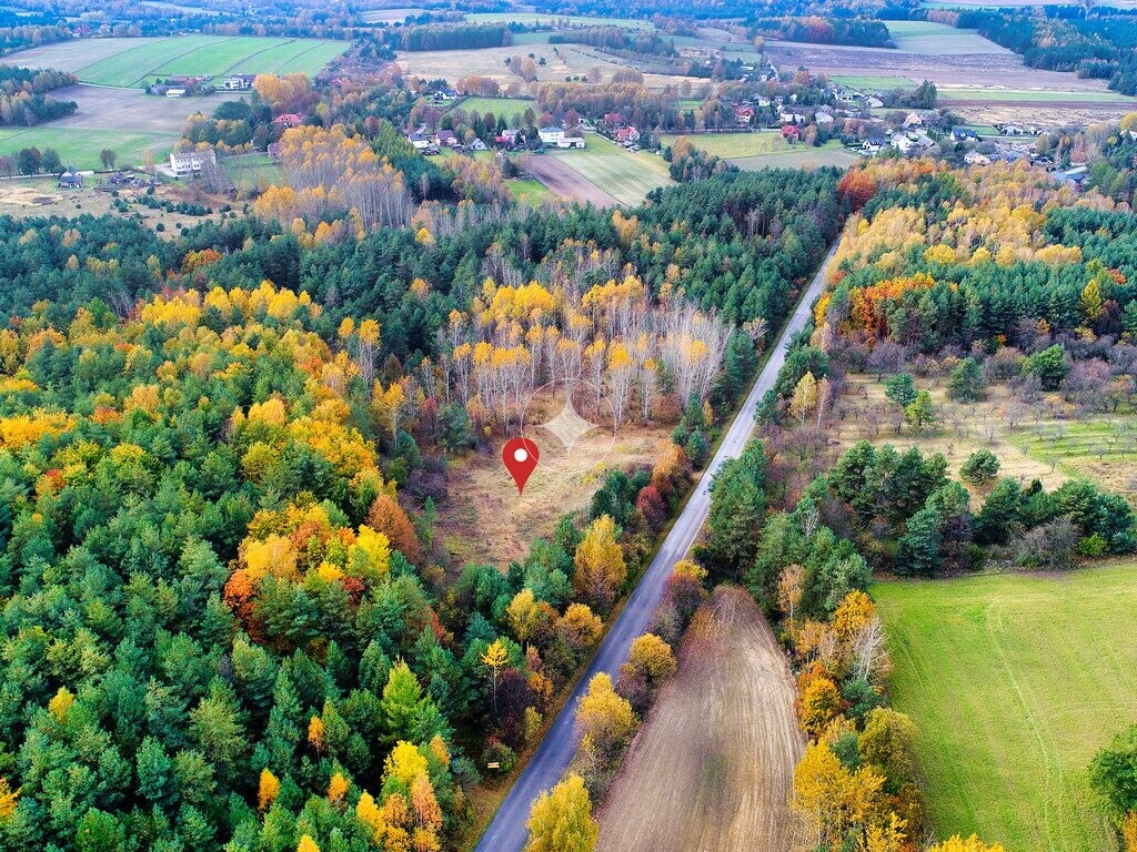Duża działka budowlana z lasem