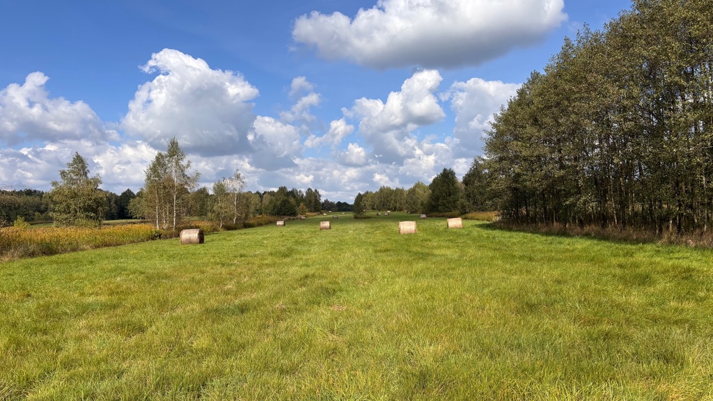 Jodłówka działka budowlana