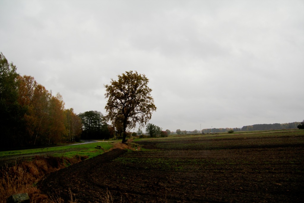 Urocza działka budowlana w Charbicach Dolnych
