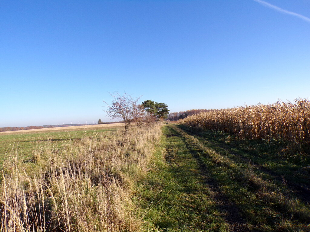 Działka Machowino gm. Ustka