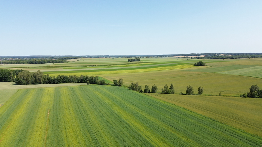 Grunt rolny w Parzycach