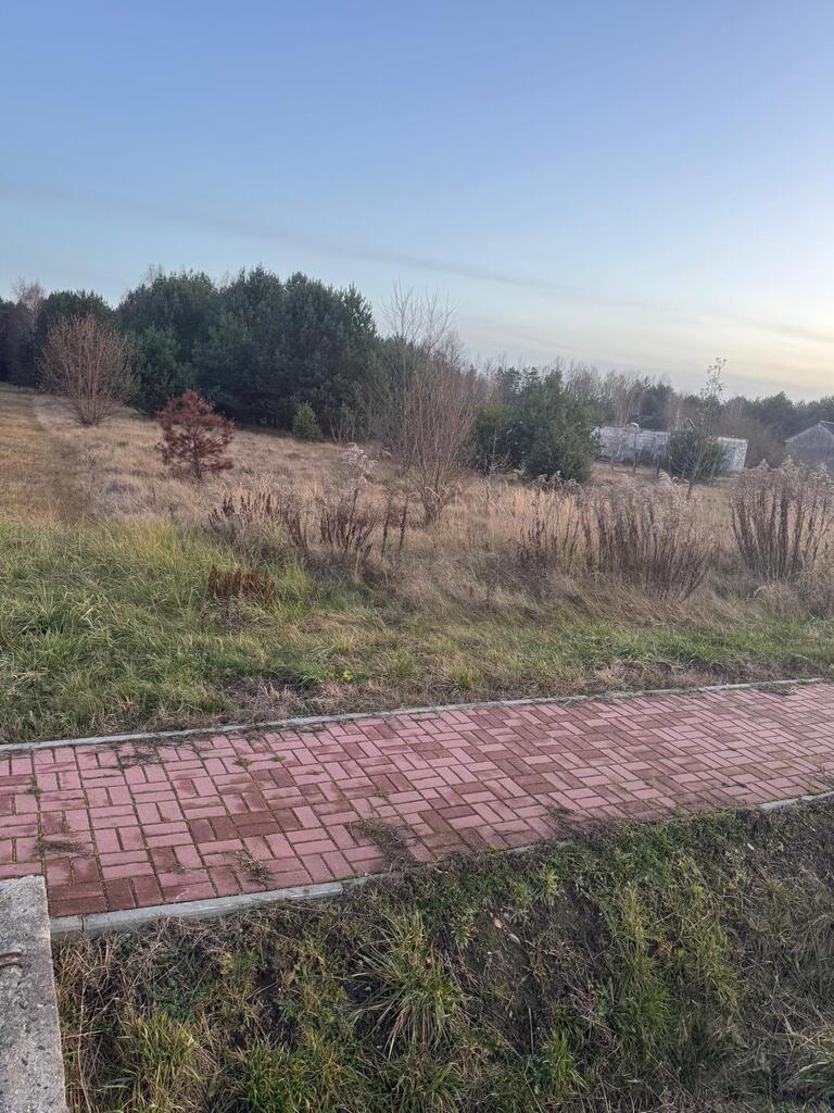 Piękna działka. Zbójno gmina Fałków.