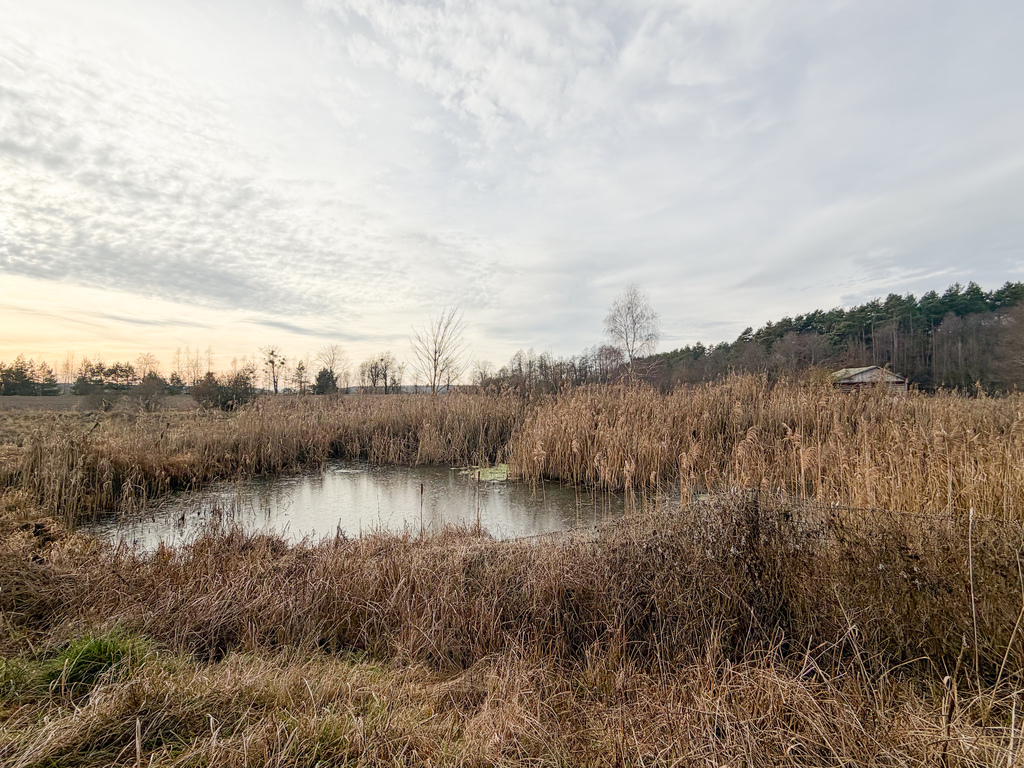 Działka rolna 0,84 ha Turka, gmina Dorohusk