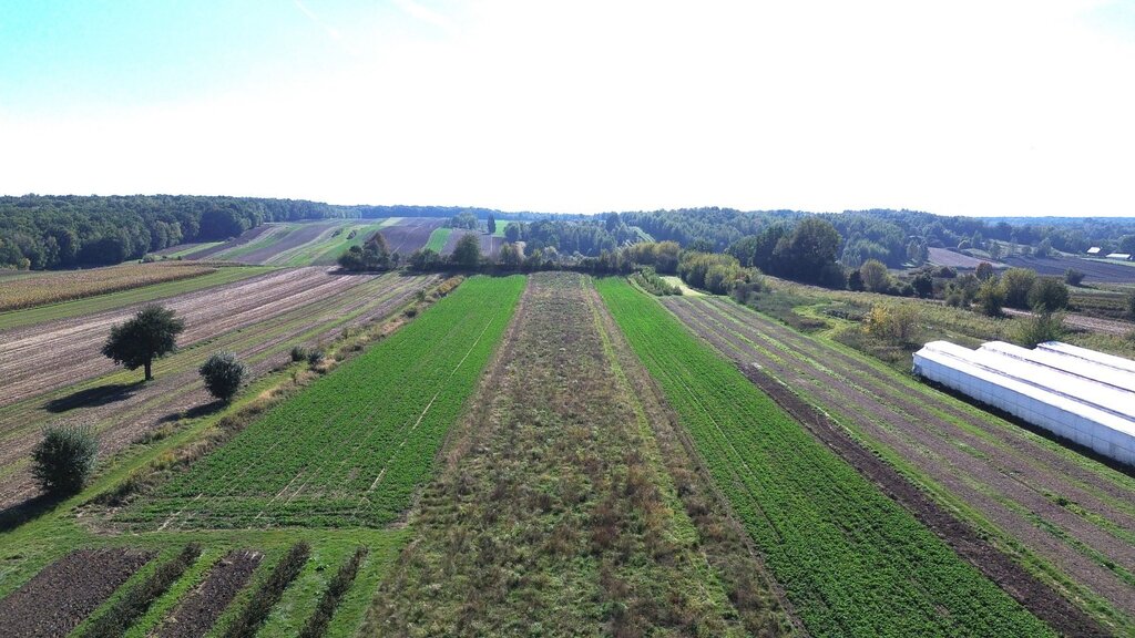 Piękna działka budowlana 7005m2 - Nałęczów
