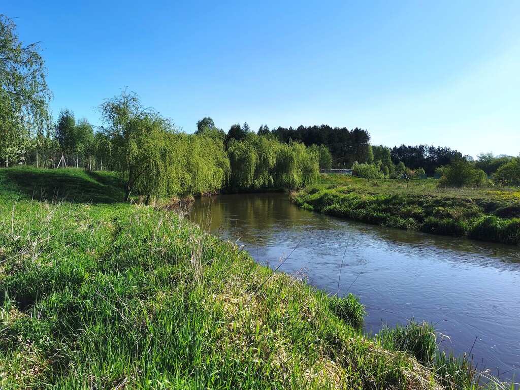 Działki z dostępem do rzeki Pilicy