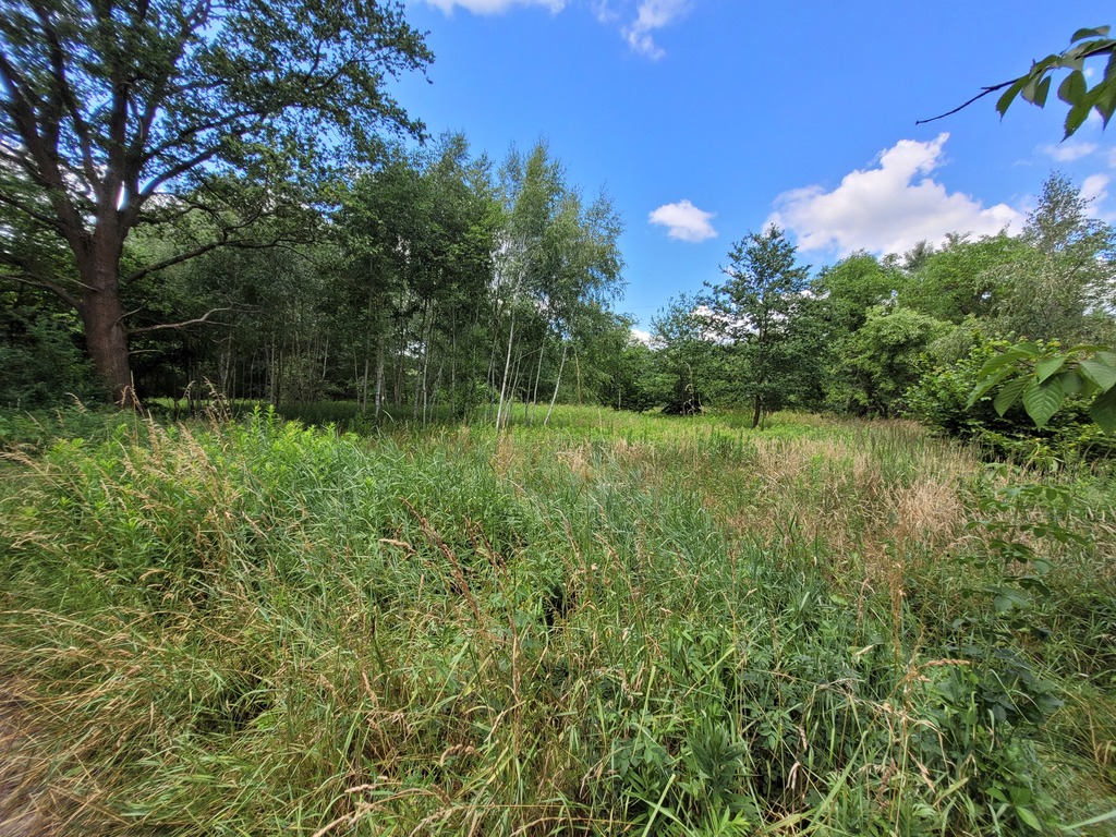 Działka 2000 m2 Kuźniczysko