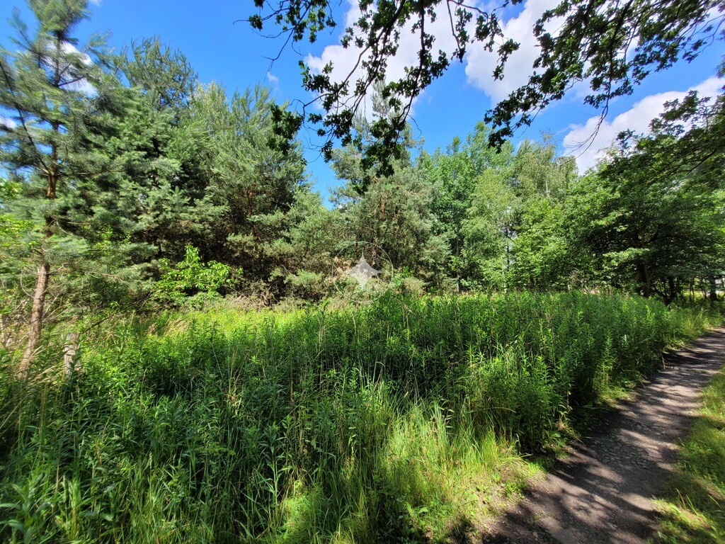 Działka 2000 m2 Kuźniczysko