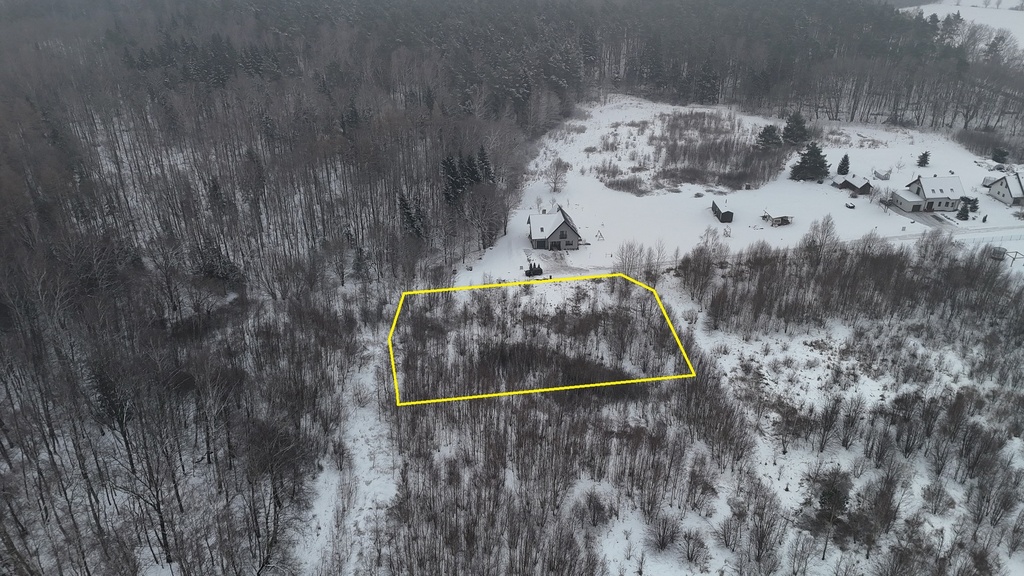 Działka w otoczeniu lasu Frombork Niewiastowo