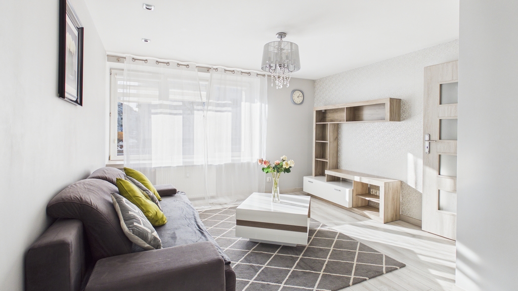 Atrakcyjne mieszkanie w centrum / Parter