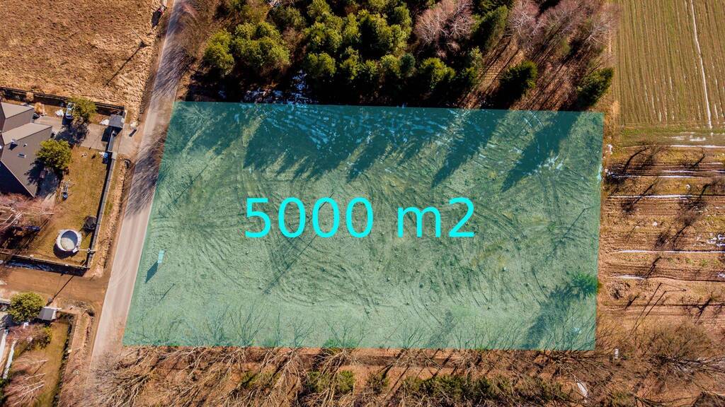 Podział na 6 działek | Media | Teren wykarczowany