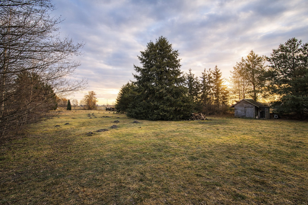 Działka rolna 1,03 ha – Tarkowo Dolne, gmina Nowa
