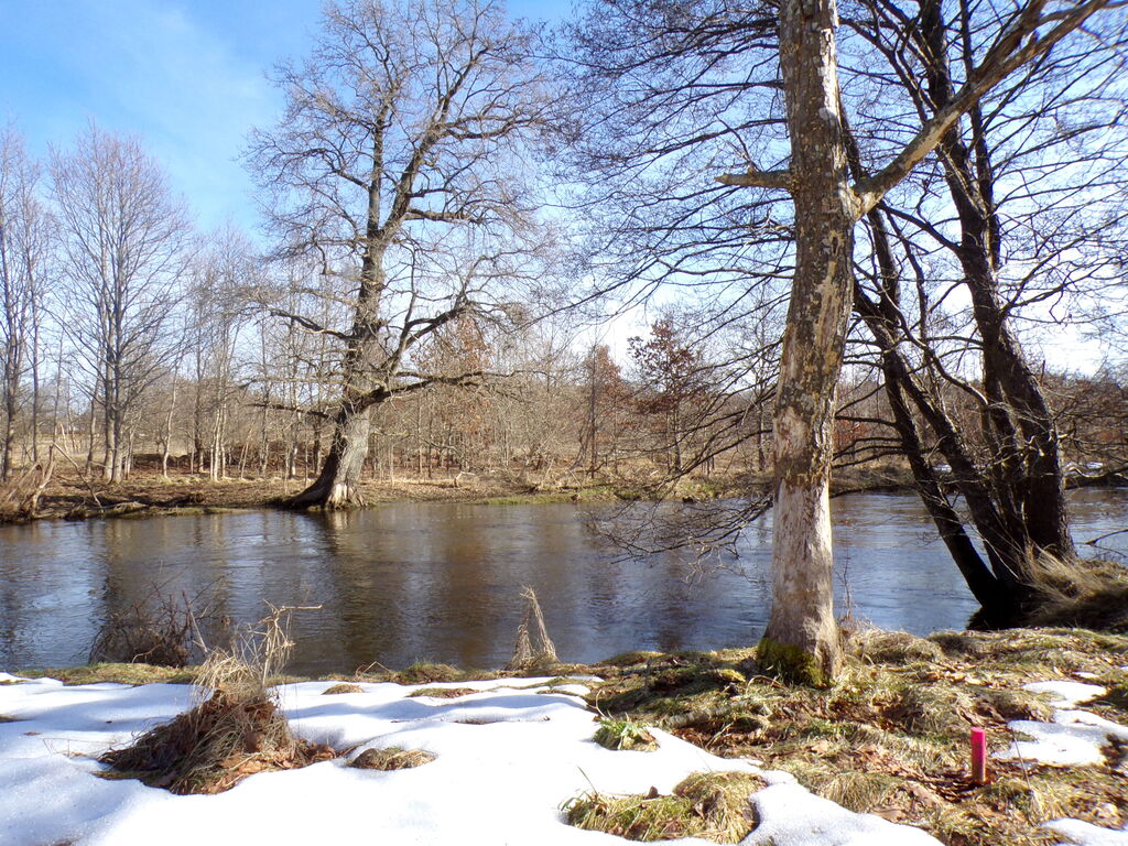 Działka przy rzece, Charnowo