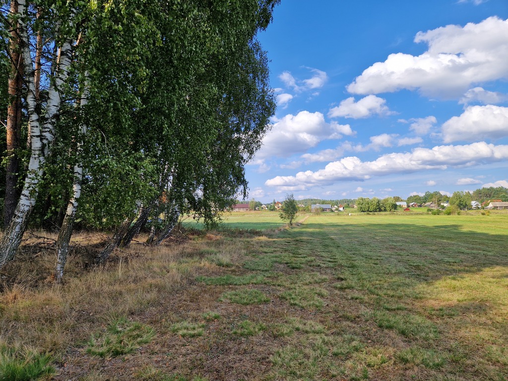 Działka leśna 0,3776 ha Krynickie gm. Zabłudów
