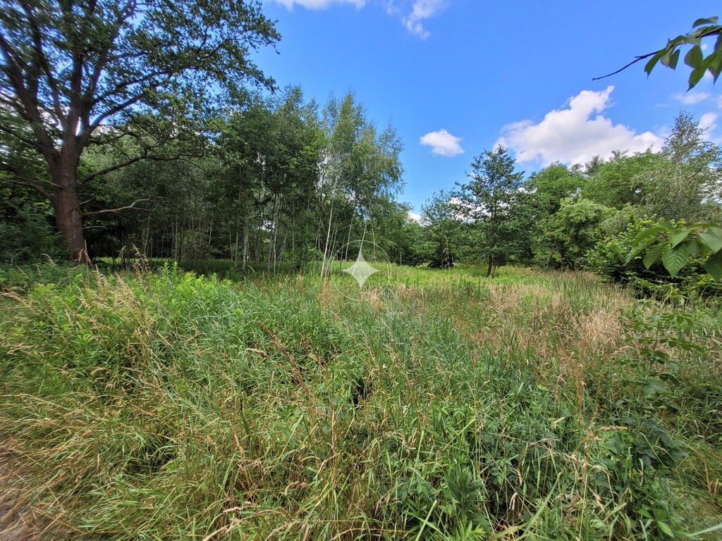 Działka 1000 m2 Kuźniczysko