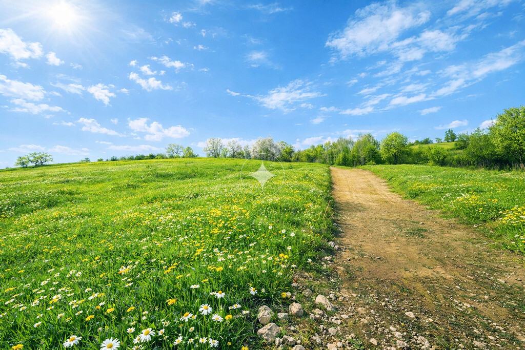 Działka budowlana/14,67a/Michałowice