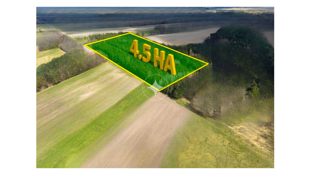 Działka leśna 4,4,7 Ha w Elżbiecinie gmina Kodeń